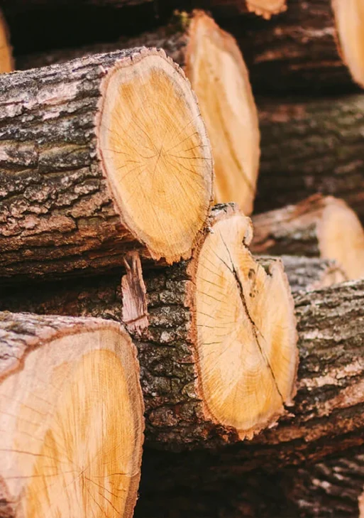 Hartlaubholz PEFC – Hartholzmix (Ahorn, Buche, Eiche, Esche, Robinie) 20 RM