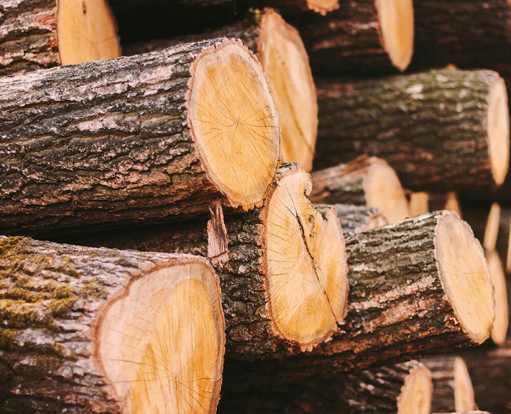 Hartlaubholz PEFC – Hartholzmix (Ahorn, Buche, Eiche, Esche, Robinie) 20 RM