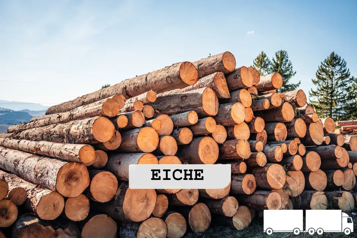 Stammholz – Fichte – ganze LKW-Ladung 40 RM