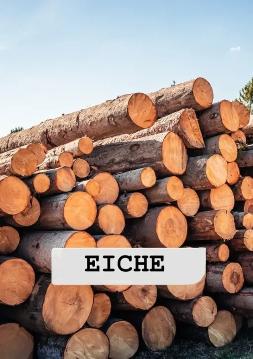 Stammholz – Eiche – ganze LKW-Ladung 40 RM