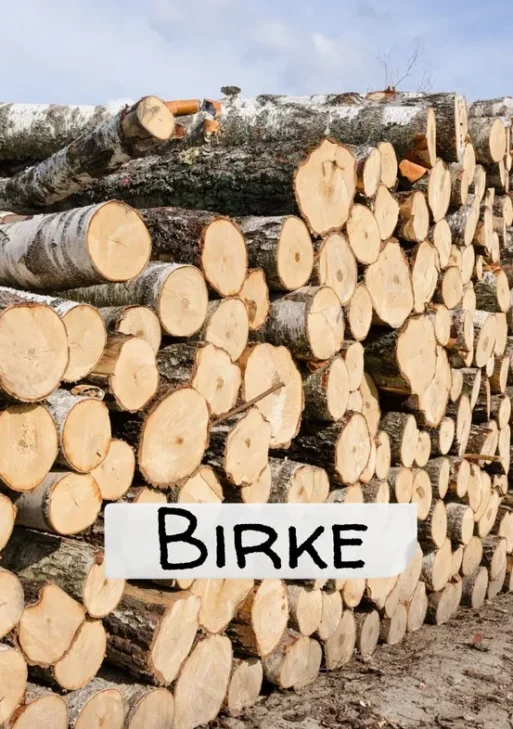 Stammholz – Birke – halbe LKW-Ladung 20 RM