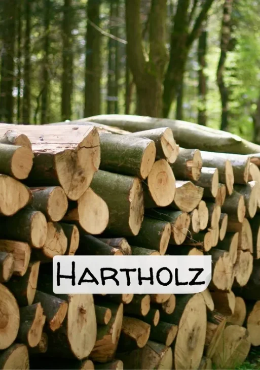 Stammholz – Hartholz / Laubholz – ganze LKW-Ladung 40 RM
