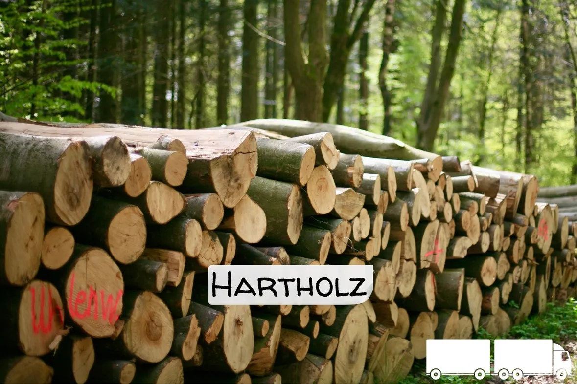 Stammholz – Hartholz / Laubholz – ganze LKW-Ladung 40 RM
