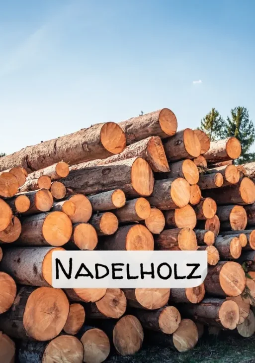 Stammholz – Nadelholz – ganze LKW-Ladung 40 RM