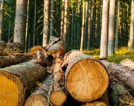 Lärchen-Sägeholz PEFC – 20 RM